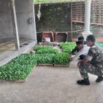 Babinsa Selo Motivasi Petani Sayur Wonodoyo