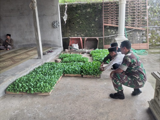 Babinsa Selo Motivasi Petani Sayur Wonodoyo